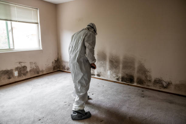 Best Post-Remediation Services in Moulton, AL